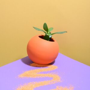 The Ball