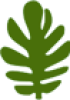 icon 1 copy_